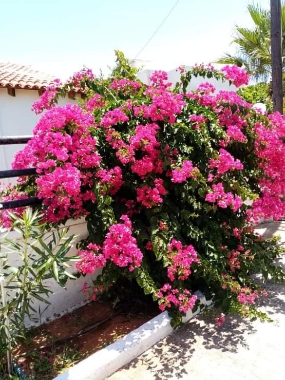Evas House 7 Mins Walk To Beach Villa Stavros  Exterior photo
